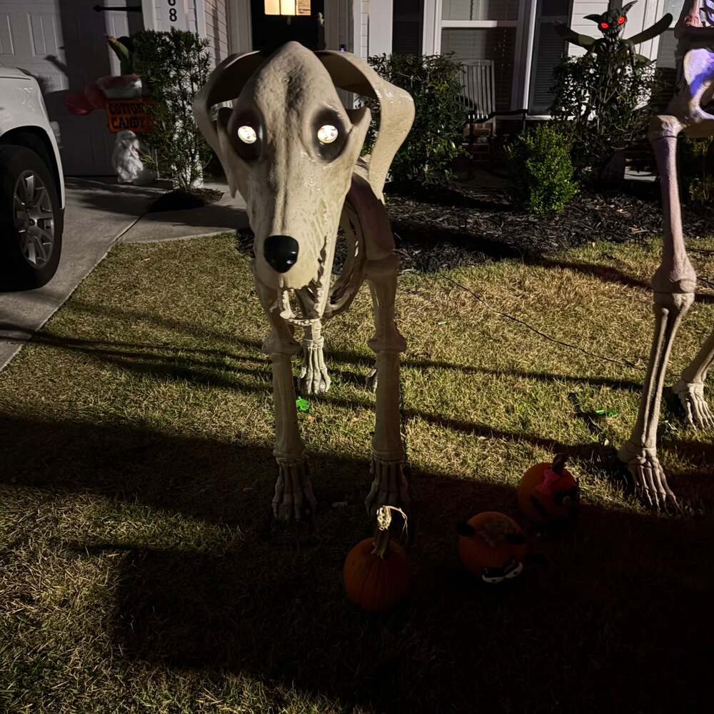 Home Depot 7 ft. Skelly's Dog with LifeEyes LCD Eyes
